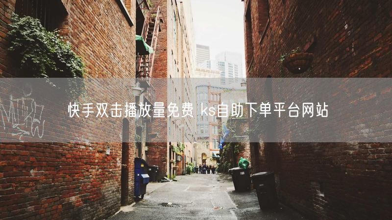 快手双击播放量免费 ks自助下单平台网站
