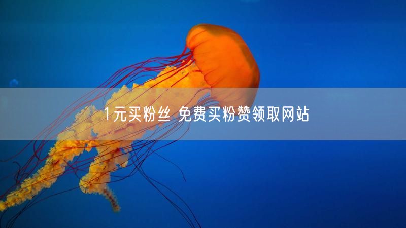 1元买粉丝 免费买粉赞领取网站