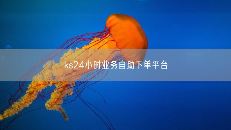 ks24小时业务自助下单平台