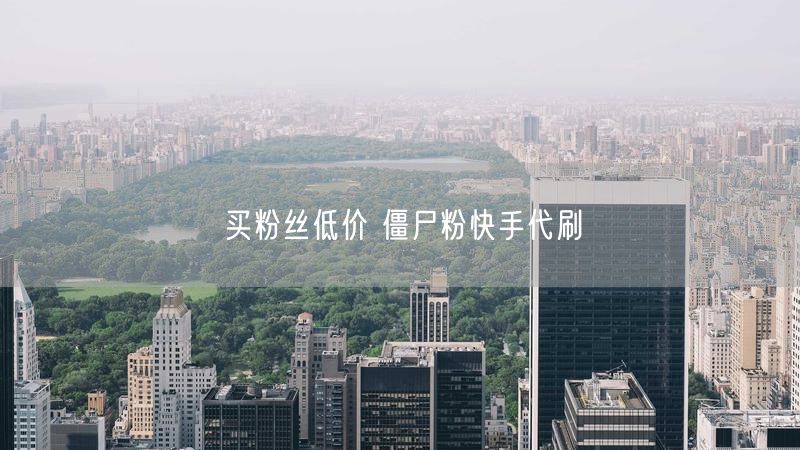 买粉丝低价 僵尸粉快手代刷