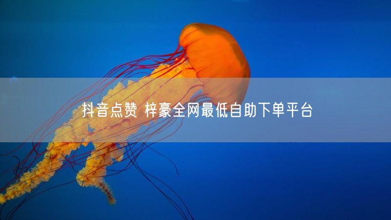 抖音点赞 梓豪全网最低自助下单平台