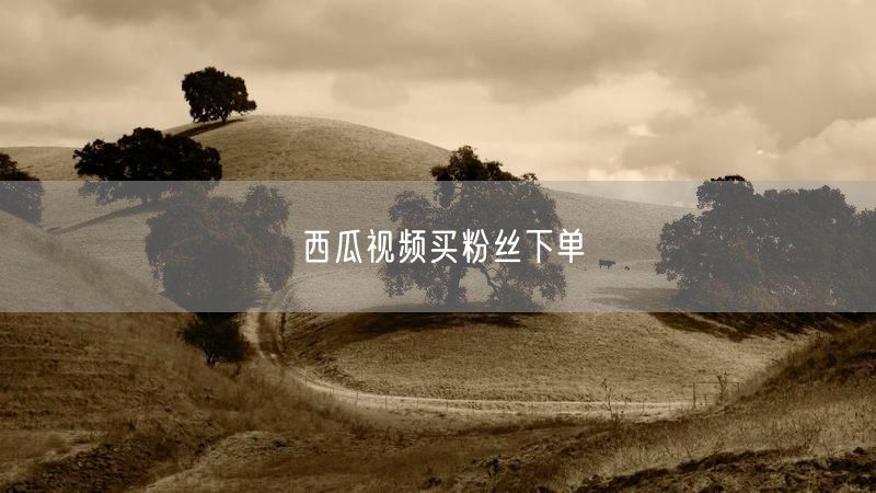 西瓜视频买粉丝下单