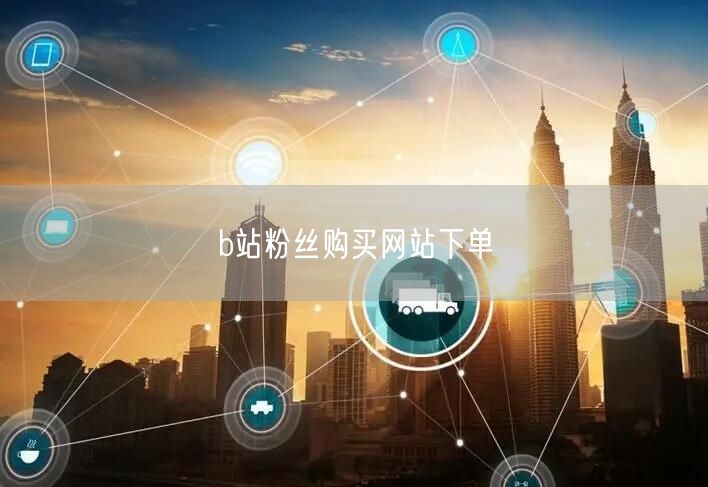 b站粉丝购买网站下单