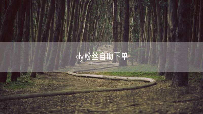 dy粉丝自助下单