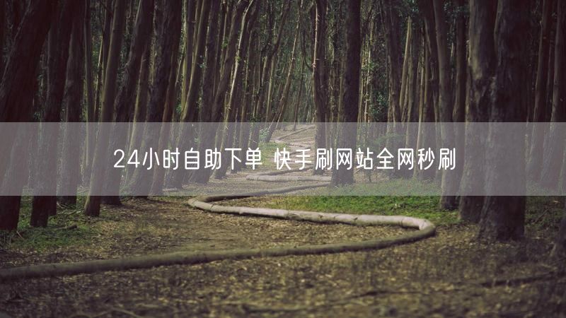24小时自助下单 快手刷网站全网秒刷