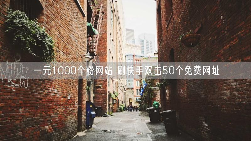 一元1000个粉网站 刷快手双击50个免费网址