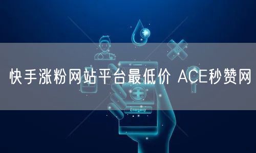 快手涨粉网站平台最低价 ACE秒赞网