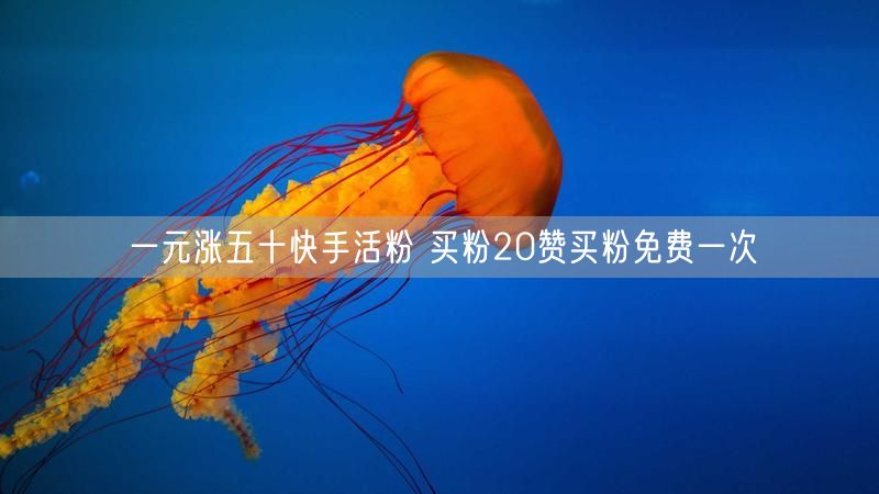 一元涨五十快手活粉 买粉20赞买粉免费一次