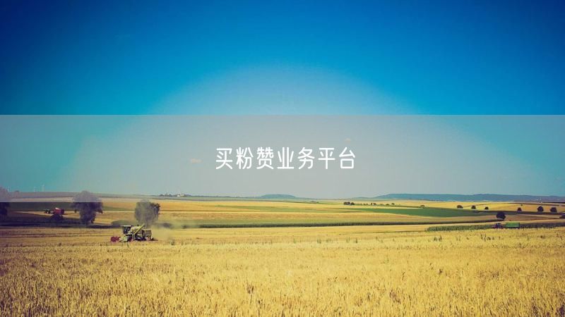 买粉赞业务平台