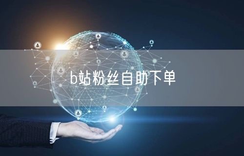 b站粉丝自助下单