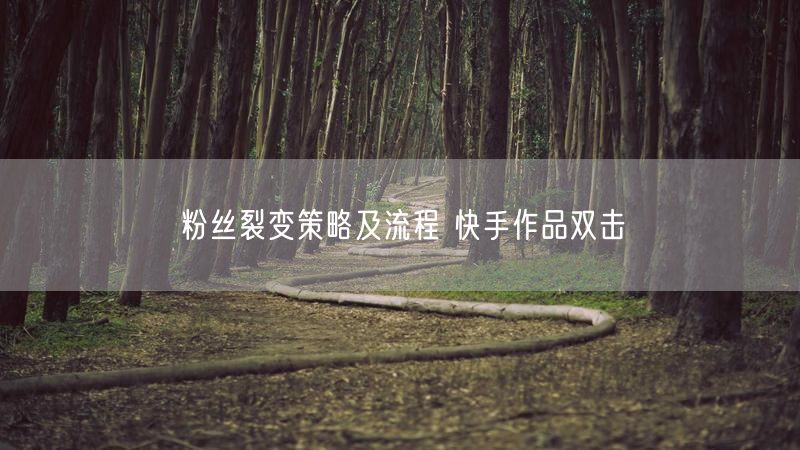 粉丝裂变策略及流程 快手作品双击