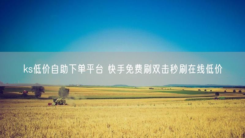 ks低价自助下单平台 快手免费刷双击秒刷在线低价