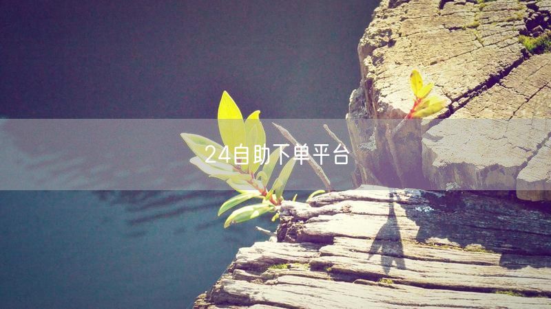 24自助下单平台