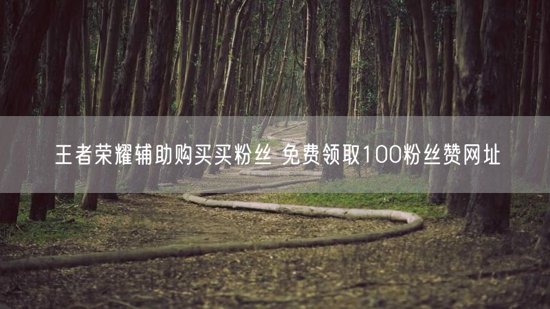 王者荣耀辅助购买买粉丝 免费领取100粉丝赞网址
