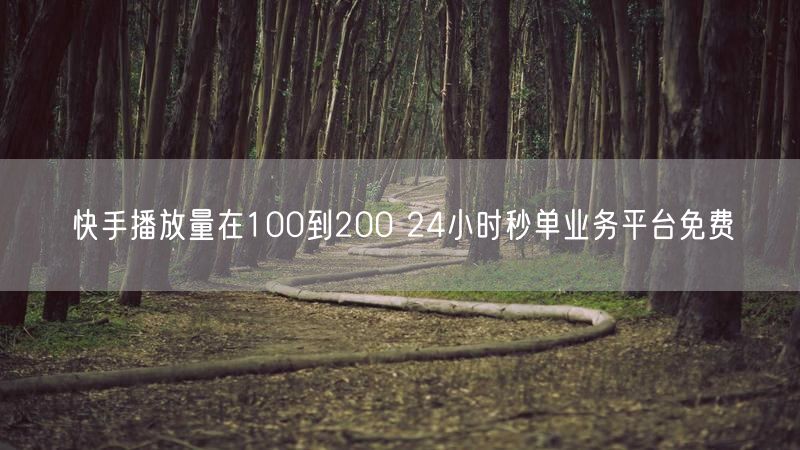 快手播放量在100到200 24小时秒单业务平台免费