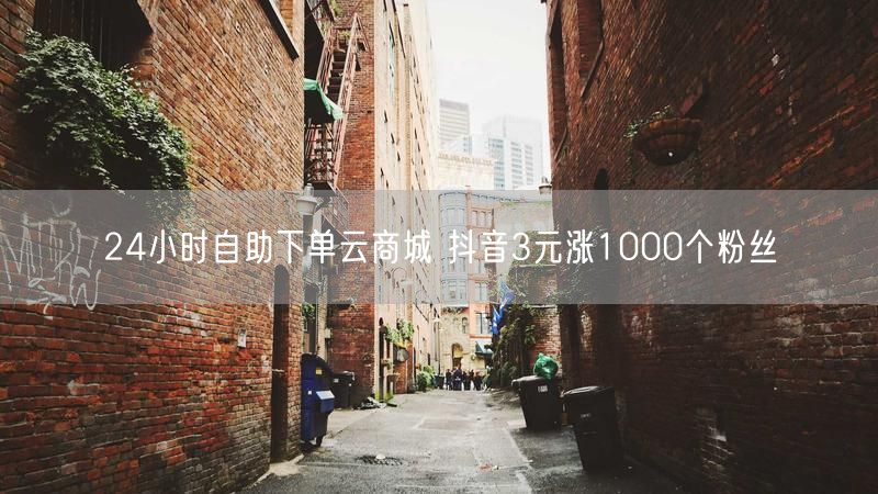 24小时自助下单云商城 抖音3元涨1000个粉丝