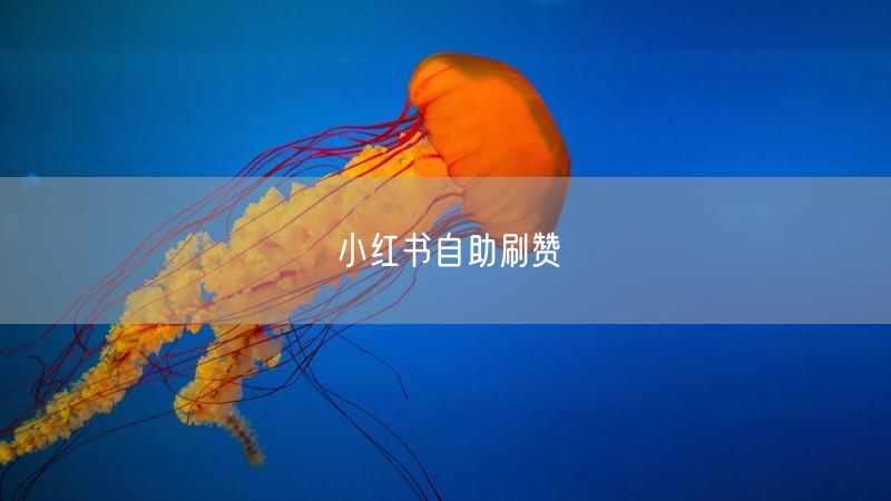 小红书自助刷赞