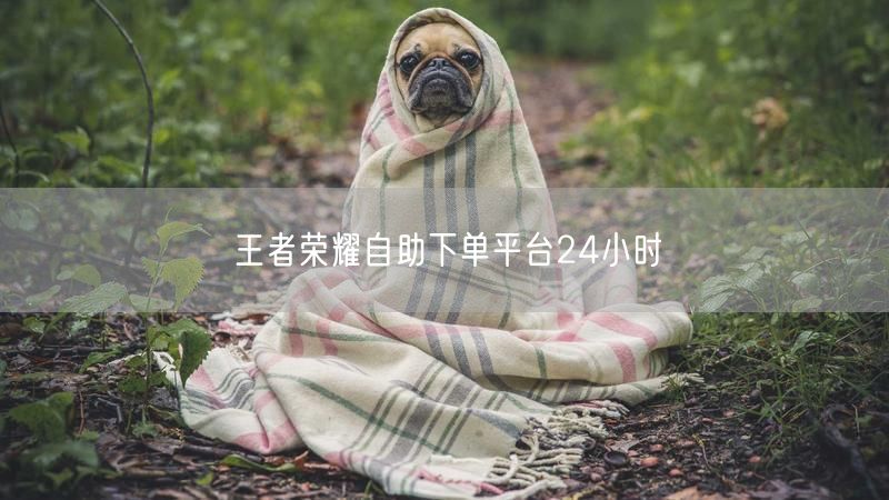 王者荣耀自助下单平台24小时