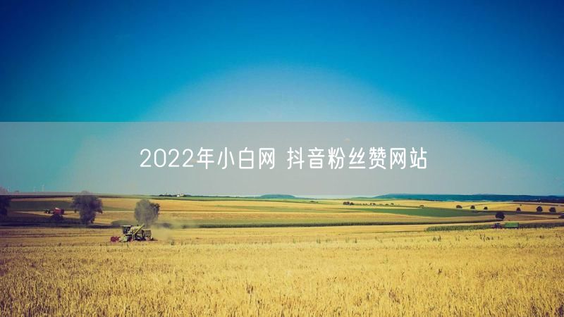 2022年小白网 抖音粉丝赞网站