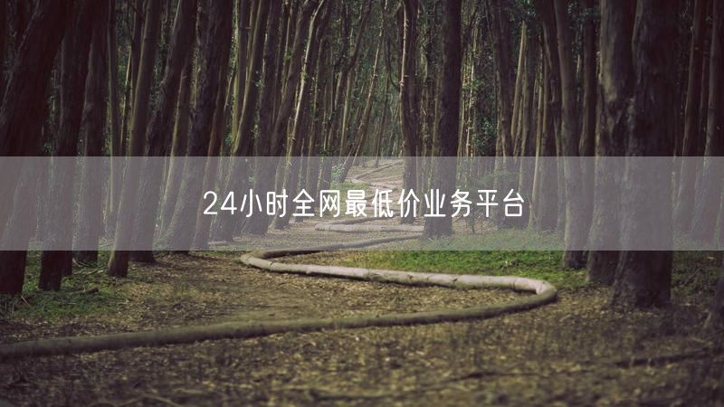 24小时全网最低价业务平台