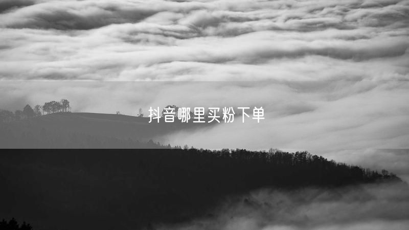 抖音哪里买粉下单