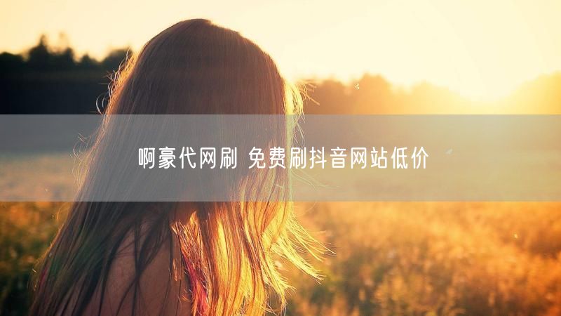 啊豪代网刷 免费刷抖音网站低价