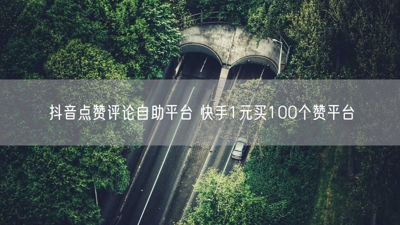 抖音点赞评论自助平台 快手1元买100个赞平台