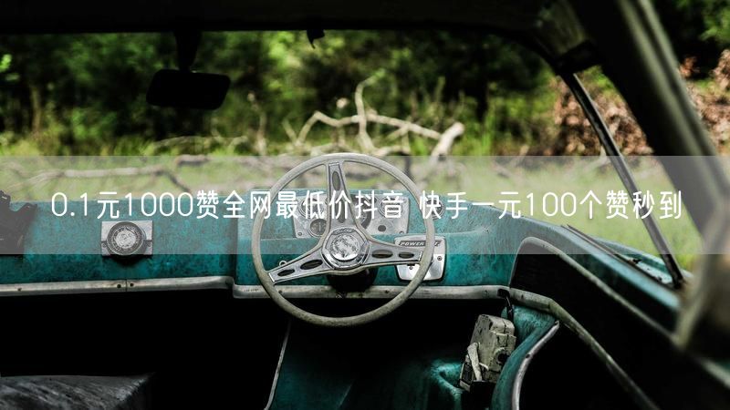 0.1元1000赞全网最低价抖音 快手一元100个赞秒到