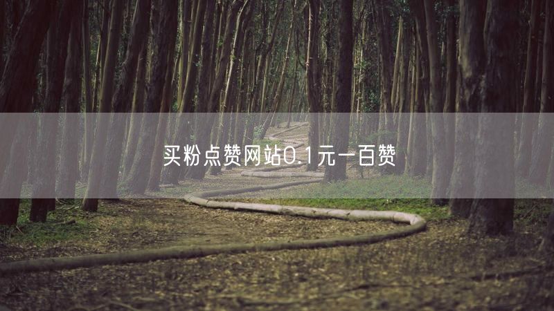 买粉点赞网站0.1元一百赞