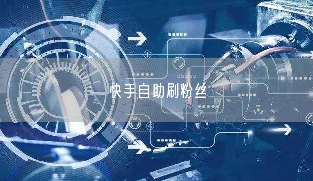 快手自助刷粉丝