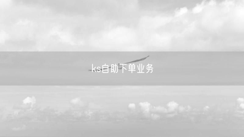 ks自助下单业务