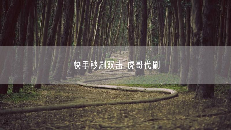 快手秒刷双击 虎哥代刷