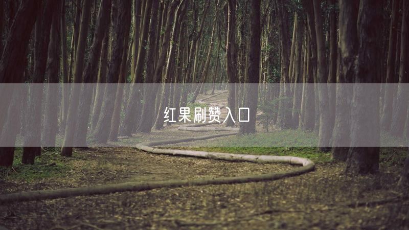 红果刷赞入口