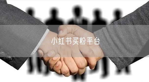 小红书买粉平台
