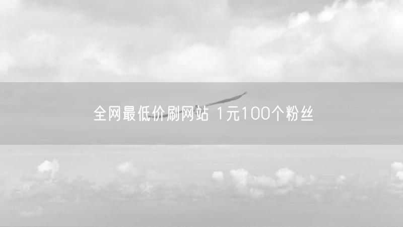 全网最低价刷网站 1元100个粉丝