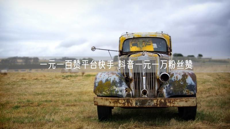 一元一百赞平台快手 抖音一元一万粉丝赞