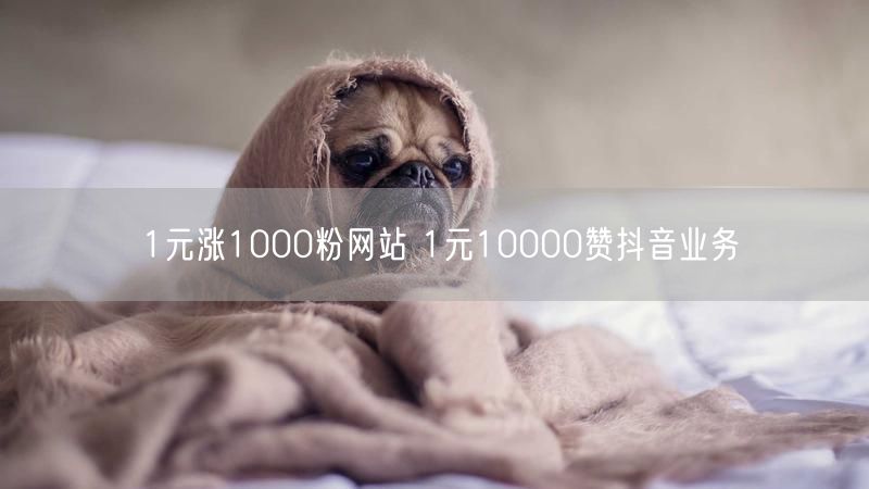 1元涨1000粉网站 1元10000赞抖音业务