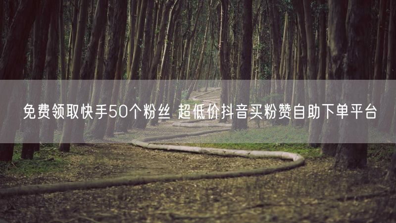 免费领取快手50个粉丝 超低价抖音买粉赞自助下单平台