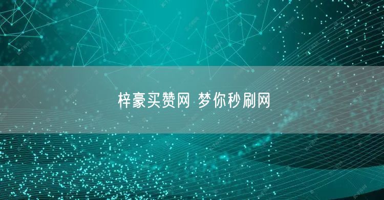 梓豪买赞网 梦你秒刷网