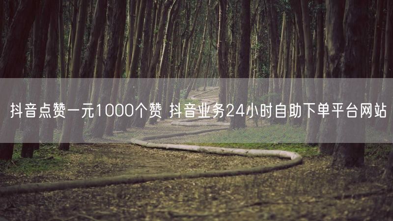 抖音点赞一元1000个赞 抖音业务24小时自助下单平台网站