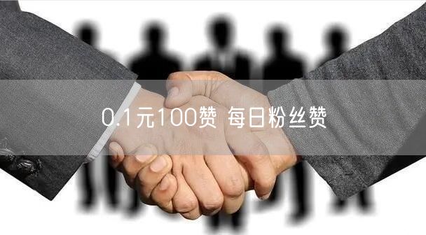 0.1元100赞 每日粉丝赞