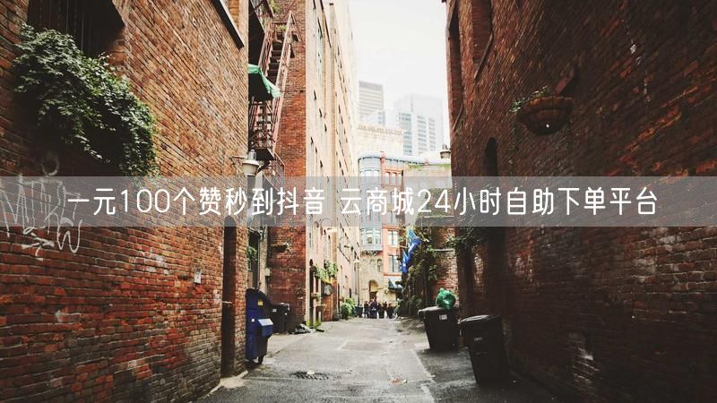 一元100个赞秒到抖音 云商城24小时自助下单平台