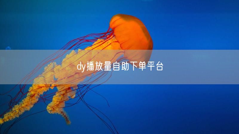 dy播放量自助下单平台