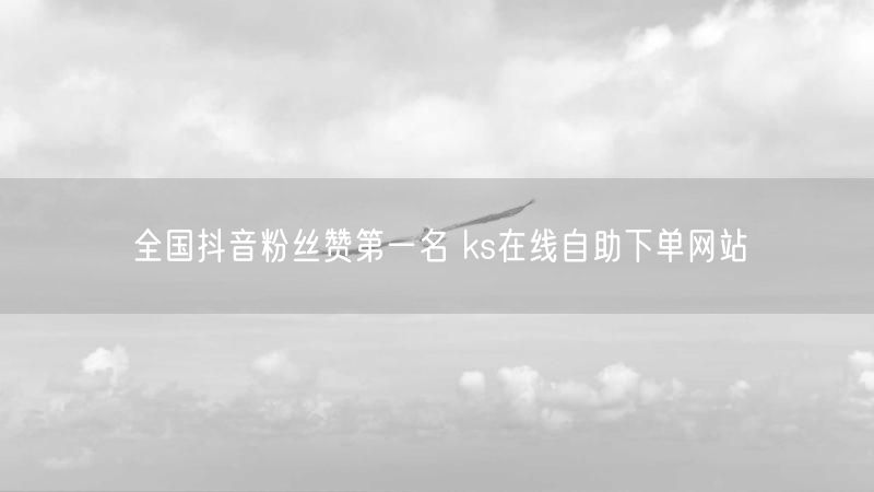 全国抖音粉丝赞第一名 ks在线自助下单网站