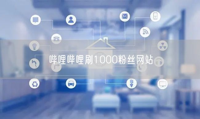 哔哩哔哩刷1000粉丝网站