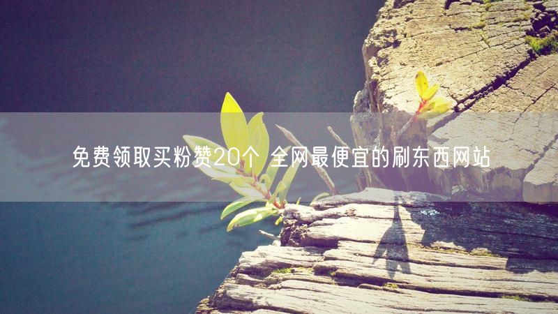 免费领取买粉赞20个 全网最便宜的刷东西网站