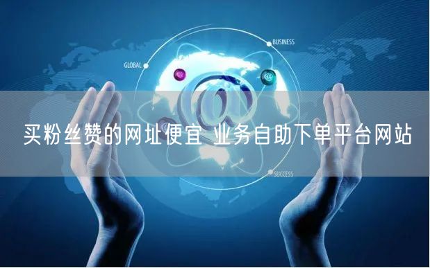 买粉丝赞的网址便宜 业务自助下单平台网站