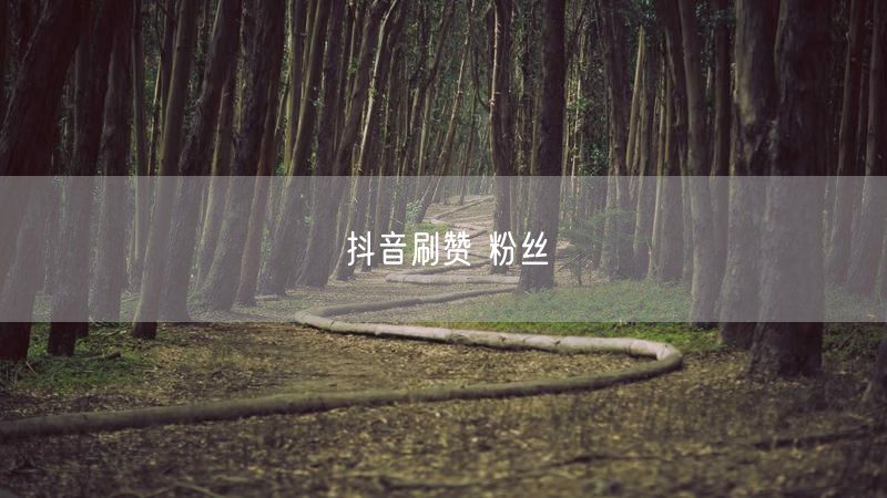 抖音刷赞 粉丝