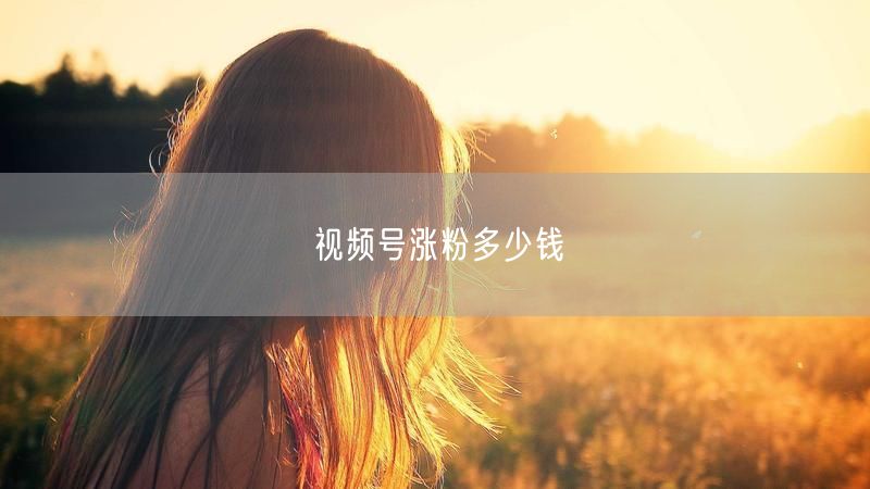 视频号涨粉多少钱