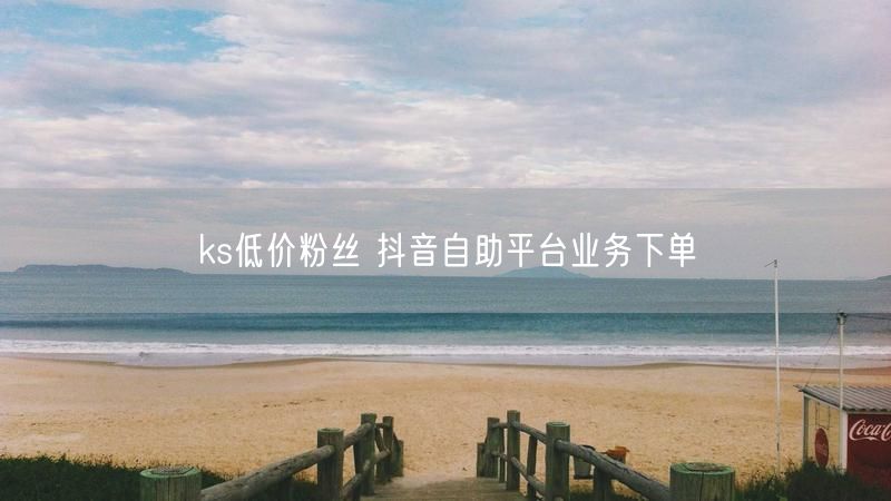 ks低价粉丝 抖音自助平台业务下单